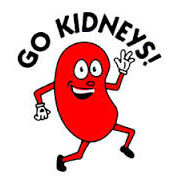 It’s all about kidneys!
